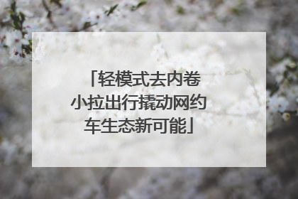 轻模式去内卷 小拉出行撬动网约车生态新可能
